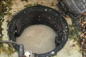 Why Wet Spots Around Your Septic Tank Are a Red Flag