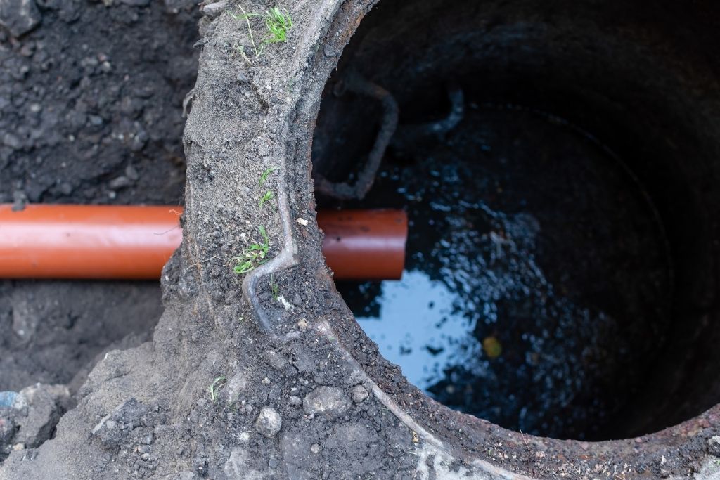 Neglecting Your Septic System Common Problems Homeowners Face
